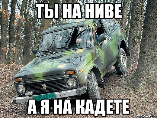 Ты на ниве а Я на кадете