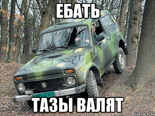 ебать тазы валят