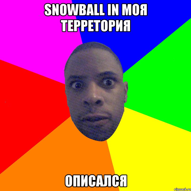 SNOWBALL IN моя терретория Описался, Мем  Типичный Негр