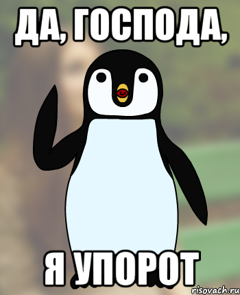 ДА, ГОСПОДА, Я УПОРОТ, Мем Типичный олимпиадник