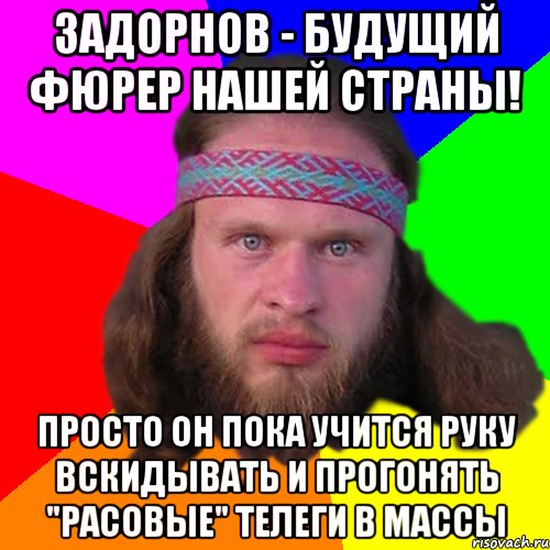 Задорнов - будущий фюрер нашей страны! Просто он пока учится руку вскидывать и прогонять "расовые" телеги в массы, Мем Типичный долбослав