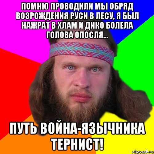 Помню проводили мы обряд возрождения Руси в лесу, я был нажрат в хлам и дико болела голова опосля... Путь война-язычника тернист!, Мем Типичный долбослав