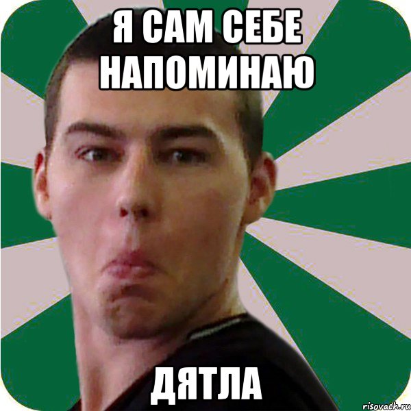 Я САМ СЕБЕ НАПОМИНАЮ ДЯТЛА