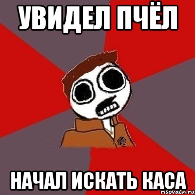 Увидел пчёл начал искать Каса