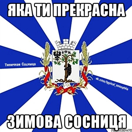 яка ти прекрасна зимова сосниця