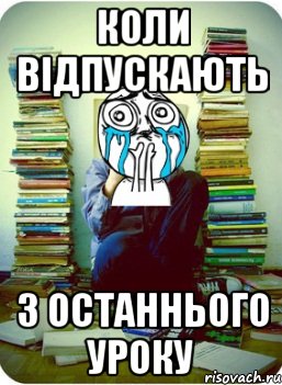 Коли відпускають з останнього уроку, Мем Типовий десятикласник
