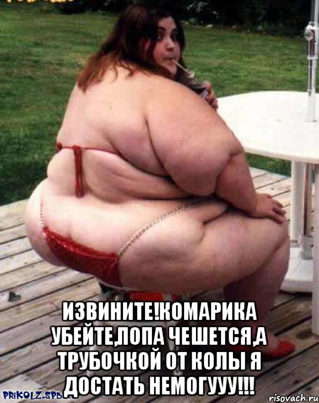  ИЗВИНИТЕ!Комарика убейте,попа чешется,а трубочкой от Колы я достать немогууу!!!