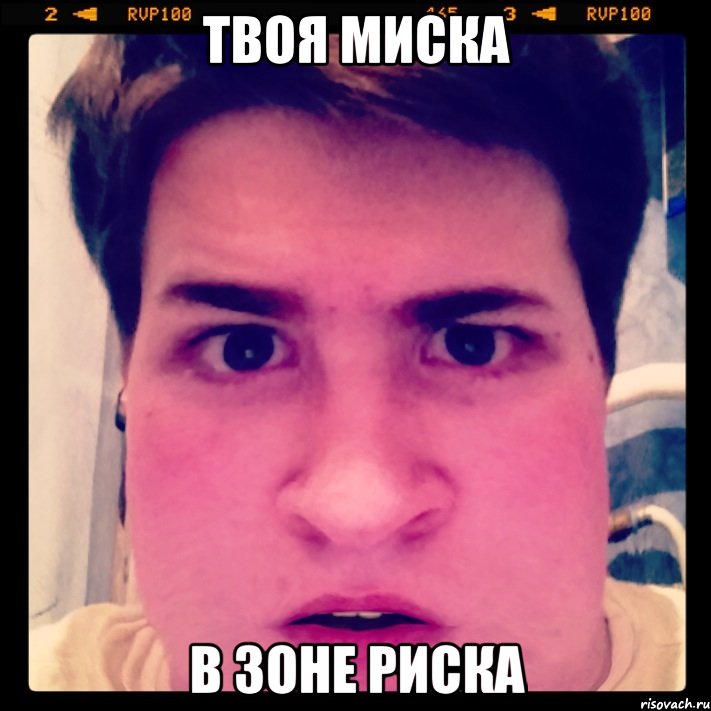 Твоя миска В зоне риска