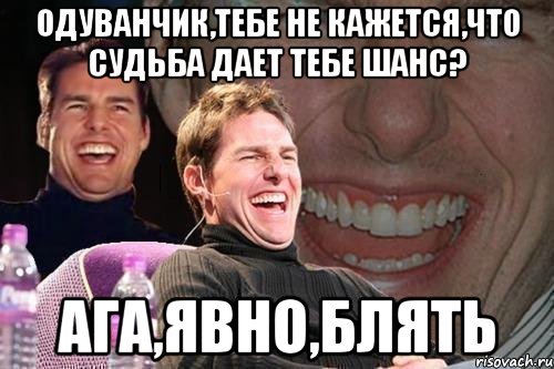 Одуванчик,тебе не кажется,что судьба дает тебе шанс? ага,явно,блять, Мем том круз