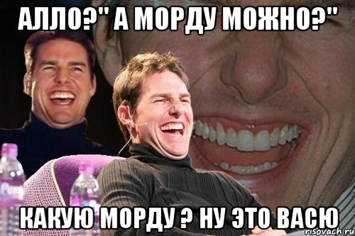 алло?" а морду можно?" какую морду ? ну это васю, Мем том круз