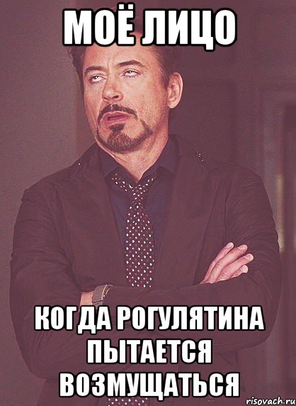 МОЁ ЛИЦО КОГДА РОГУЛЯТИНА ПЫТАЕТСЯ ВОЗМУЩАТЬСЯ, Мем твое выражение лица