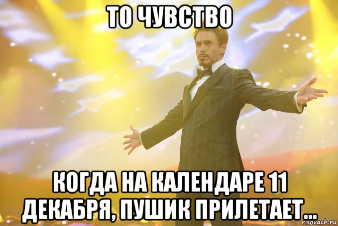 то чувство когда на календаре 11 декабря, Пушик прилетает..., Мем Тони Старк (Роберт Дауни младший)