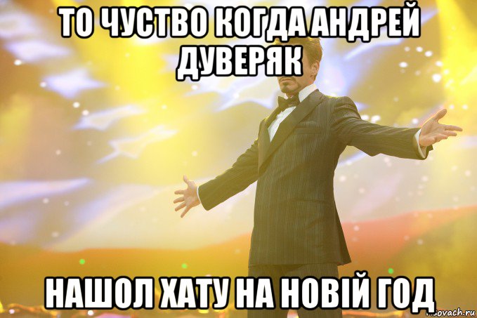 ТО ЧУСТВО КОГДА АНДРЕЙ ДУВЕРЯК НАШОЛ ХАТУ НА НОВІЙ ГОД, Мем Тони Старк (Роберт Дауни младший)