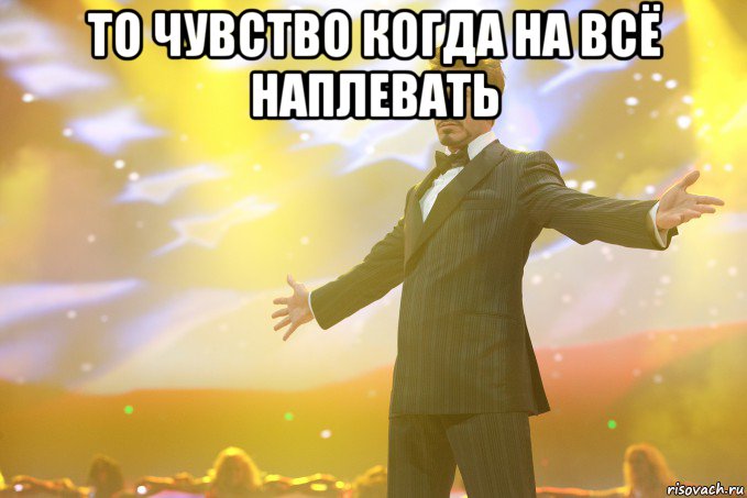 то чувство когда на всё наплевать , Мем Тони Старк (Роберт Дауни младший)