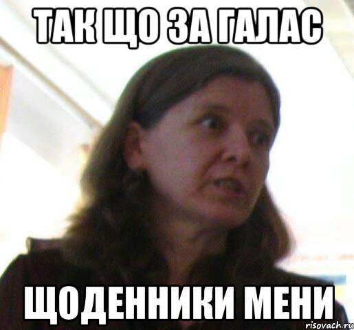 так що за галас щоденники мени