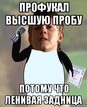 Профукал Высшую Пробу Потому что ленивая задница