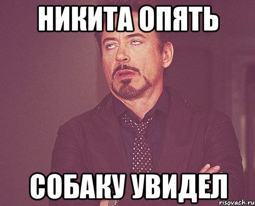 Никита опять собаку увидел, Мем твое выражение лица