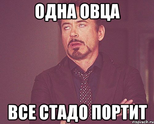 одна овца все стадо портит, Мем твое выражение лица
