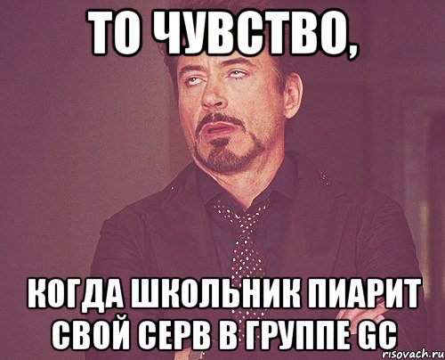 То чувство, Когда школьник пиарит свой серв в группе GC, Мем твое выражение лица