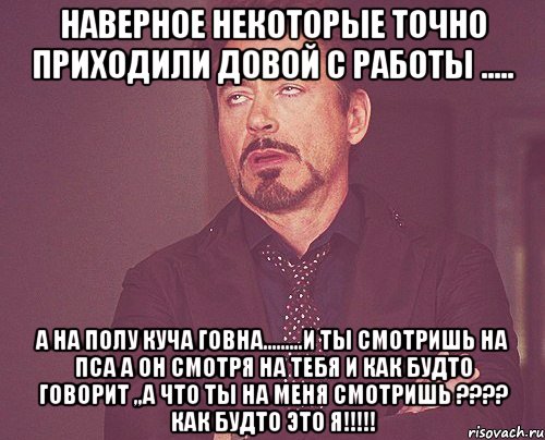 наверное некоторые точно приходили довой с работы ..... а на полу куча говна.........и ты смотришь на пса а он смотря на тебя и как будто говорит „а что ты на меня смотришь ???? как будто это я!!!!!, Мем твое выражение лица