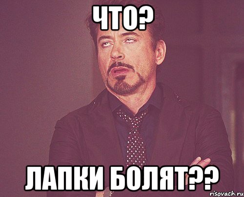 что? лапки болят??, Мем твое выражение лица