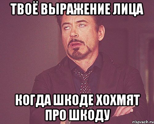 ТВОЁ ВЫРАЖЕНИЕ ЛИЦА КОГДА ШКОДЕ ХОХМЯТ ПРО ШКОДУ, Мем твое выражение лица