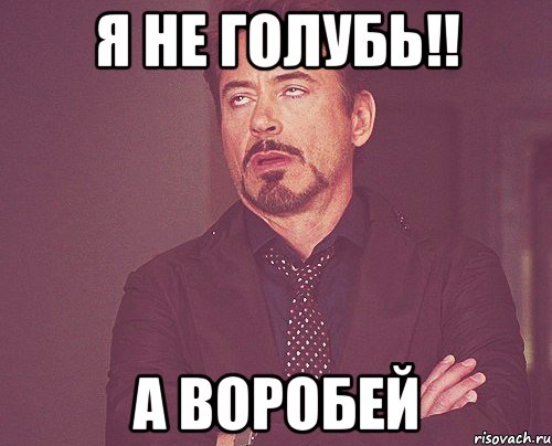 Я НЕ ГОЛУБЬ!! А ВОРОБЕЙ, Мем твое выражение лица