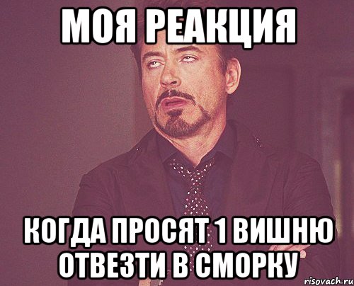 МОЯ РЕАКЦИЯ КОГДА ПРОСЯТ 1 ВИШНЮ ОТВЕЗТИ В СМОРКУ, Мем твое выражение лица