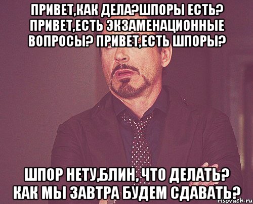 Привет,как дела?шпоры есть? привет,есть экзаменационные вопросы? привет,есть шпоры? шпор нету,блин, что делать? как мы завтра будем сдавать?, Мем твое выражение лица