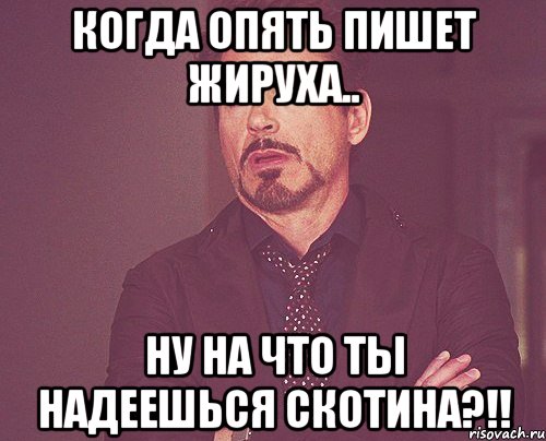 Когда опять пишет жируха.. НУ НА ЧТО ТЫ НАДЕЕШЬСЯ СКОТИНА?!!, Мем твое выражение лица