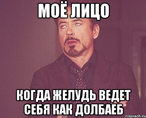 моё лицо когда желудь ведет себя как долбаеб, Мем твое выражение лица