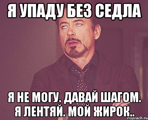 я упаду без седла я не могу. давай шагом. я лентяй. мой жирок.., Мем твое выражение лица