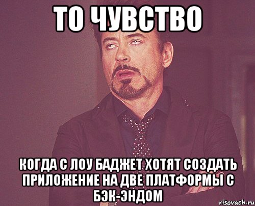 То чувство когда с Лоу Баджет хотят создать приложение на две платформы с бэк-эндом, Мем твое выражение лица