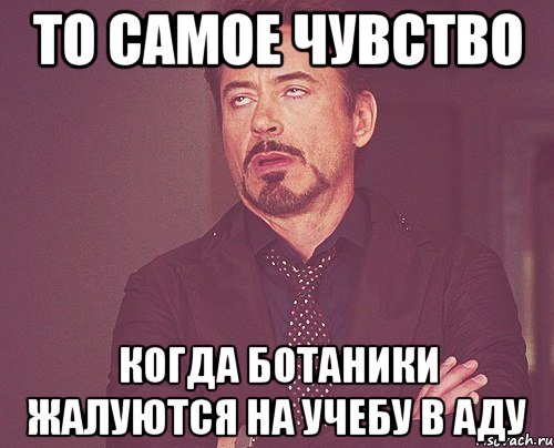 то самое чувство когда ботаники жалуются на учебу в аду, Мем твое выражение лица