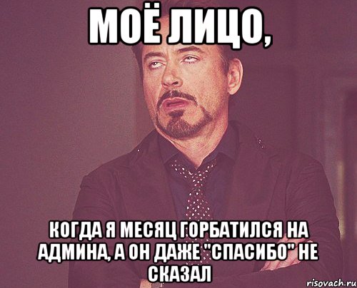 моё лицо, когда я месяц горбатился на админа, а он даже "спасибо" не сказал, Мем твое выражение лица