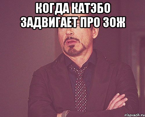 Когда Катэбо задвигает про Зож , Мем твое выражение лица