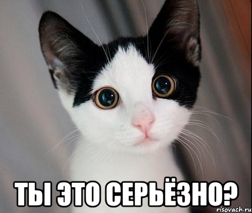  ты это серьёзно?