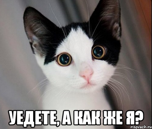  уедете, а как же я?