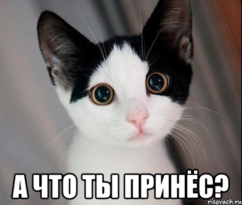  а что ты принёс?