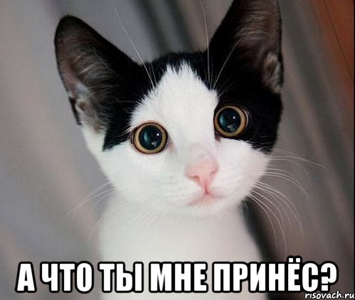  а что ты мне принёс?