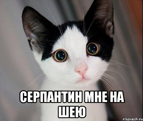  серпантин мне на шею
