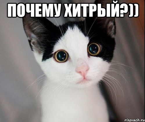 почему хитрый?)) 