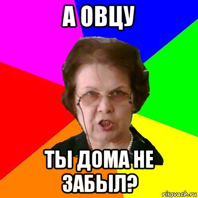 А ОВЦУ ТЫ ДОМА НЕ ЗАБЫЛ?, Мем Типичная училка