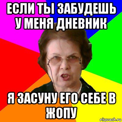 если ты забудешь у меня дневник я засуну его себе в жопу, Мем Типичная училка