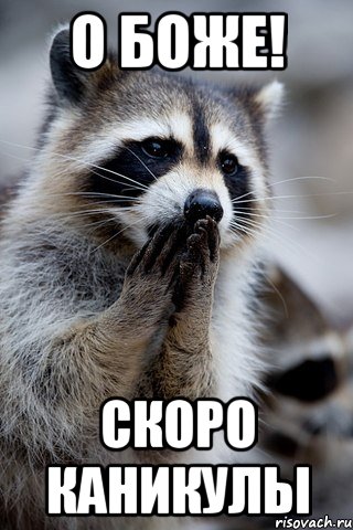 о боже! скоро каникулы, Мем уек
