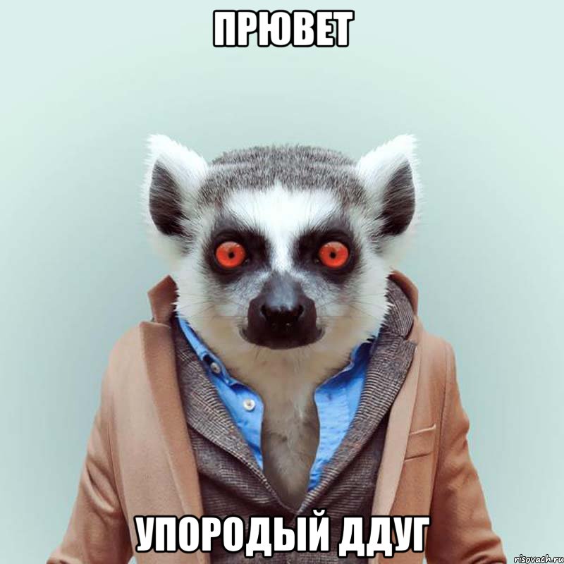 Прювет упородый ддуг, Мем укуренный лемур