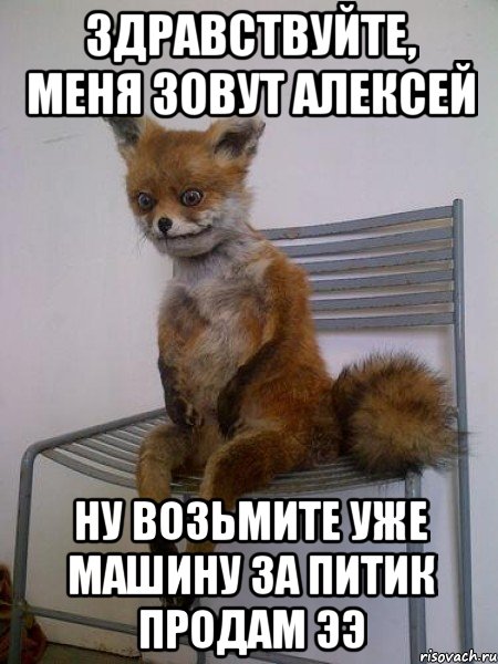 Здравствуйте, меня зовут Алексей Ну возьмите уже машину за питик продам ээ, Мем Упоротая лиса