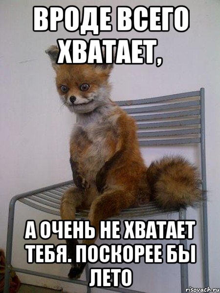 Вроде всего хватает, А очень не хватает тебя. Поскорее бы лето, Мем Упоротая лиса