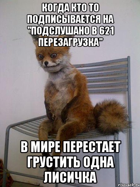 когда кто то подписывается на "Подслушано в 621 ПЕРЕЗАГРУЗКА" в мире перестает грустить одна лисичка, Мем Упоротая лиса