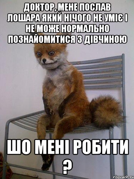 Доктор, мене послав лошара який нічого не уміє і не може нормально познайомитися з дівчиною Шо мені робити ?, Мем Упоротая лиса